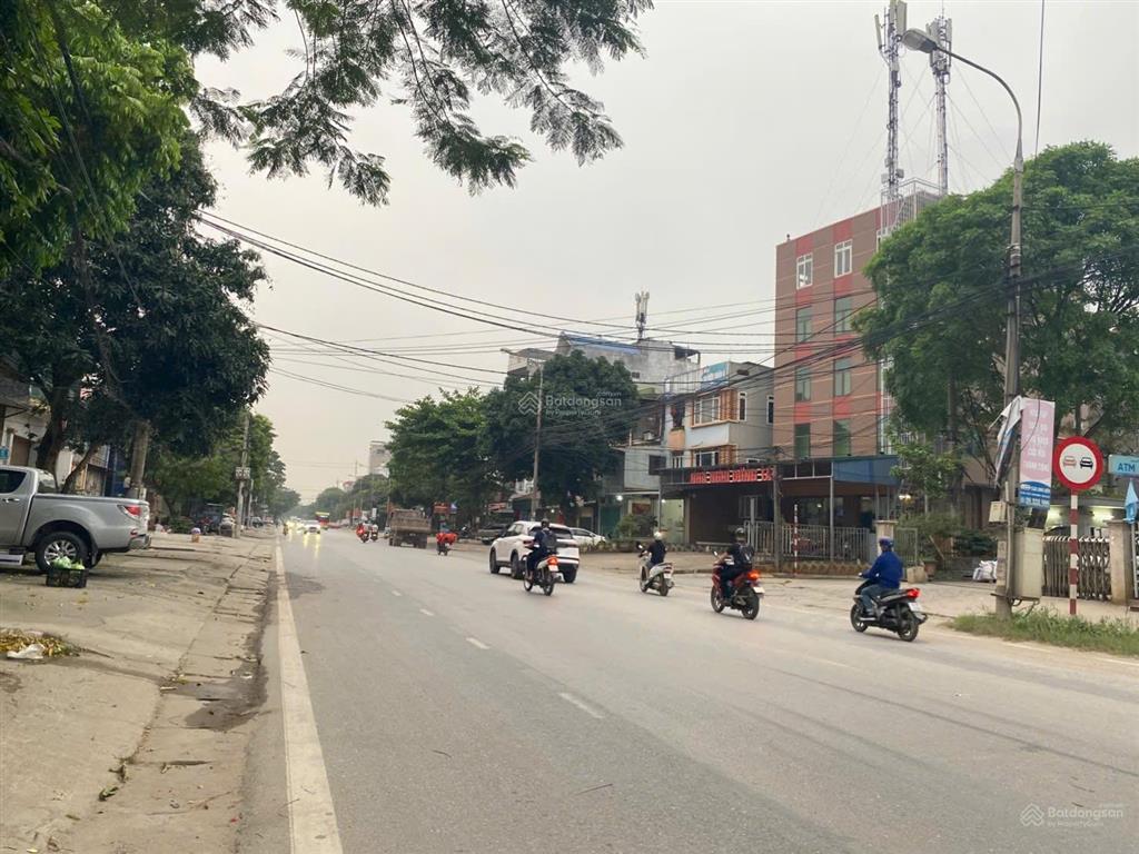 Mai lâm  đông anh  vin cổ loa
