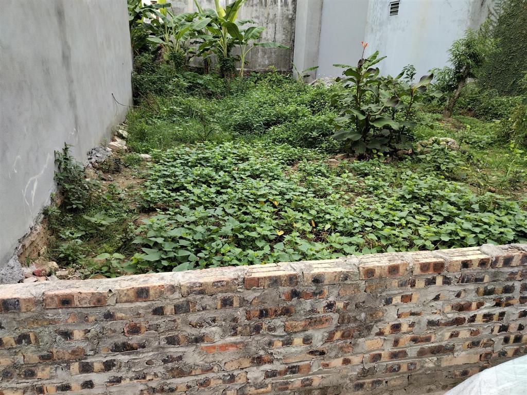 Chính chủ gửi bán đất tại thái phù, giá ưu đãi 4,25 tỷ, diện tích 91 m2, mặt tiền 4.2m