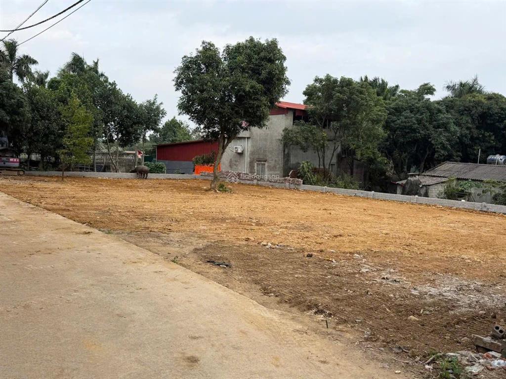 Hàng phân lô 720m,full thổ,mặt tiền 35m,phân được 7 lô,giá hơn 20tr/m2,sát quốc lộ 21,view biệt thự
