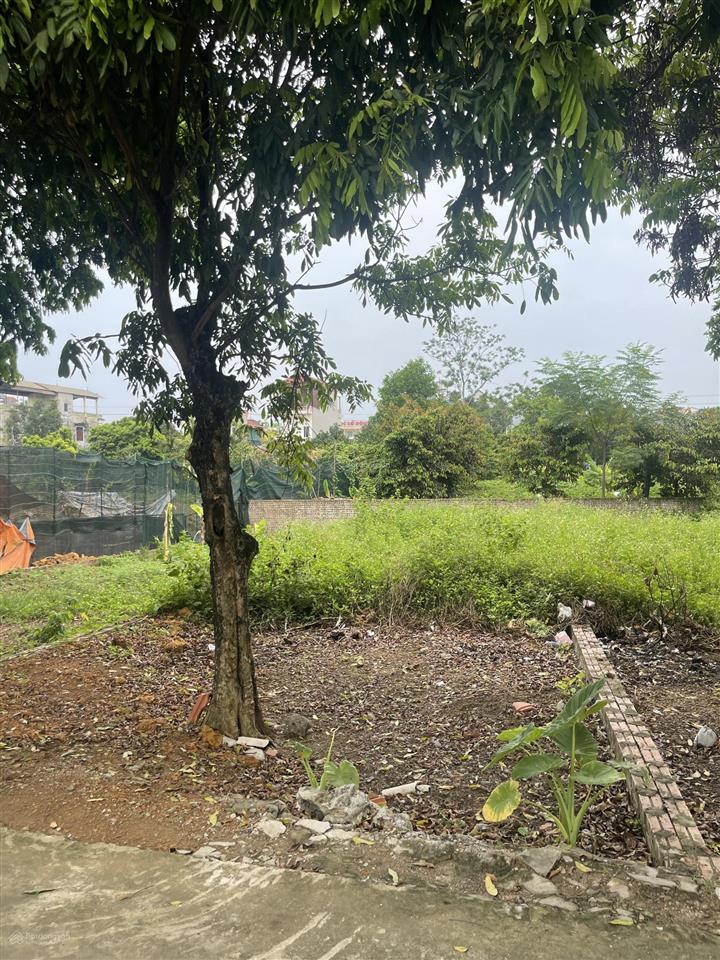 106m đường thông,full thổ cư,view trường tiểu học cổ đông,sát quốc lộ 21a,gần cnc hòa lạc
