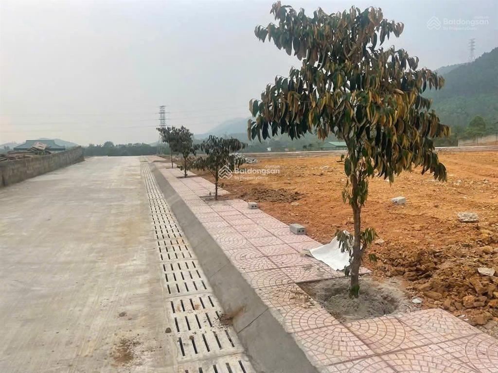 Bán đất đẹp tại đt 317b, 900 triệu, 112m2, nhiều tiện ích hot