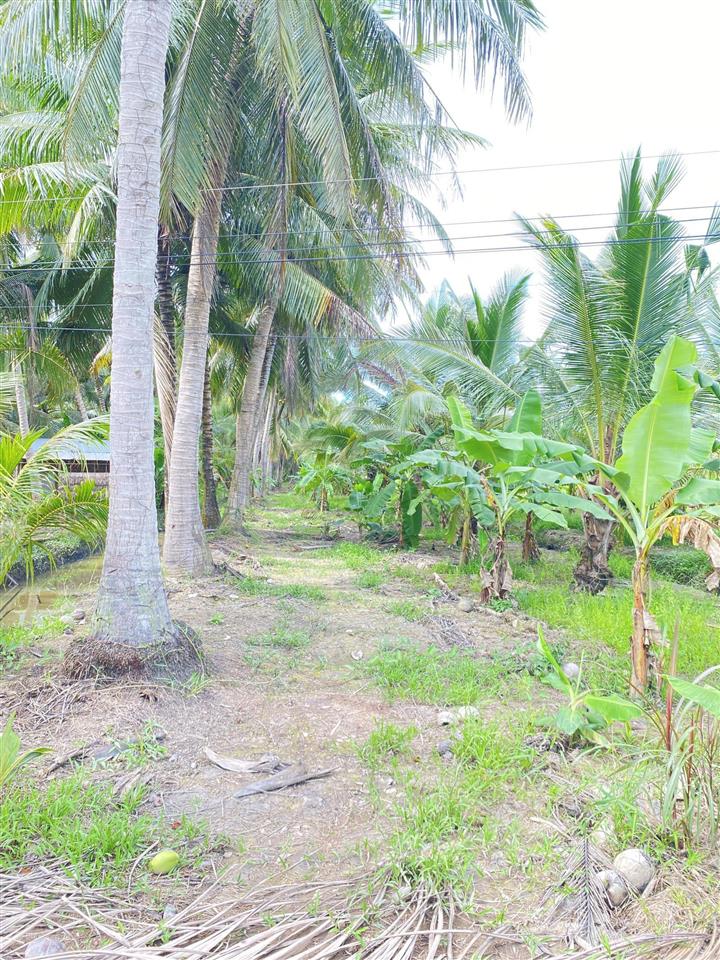 Bán đất vườn diện tích 2.635m2