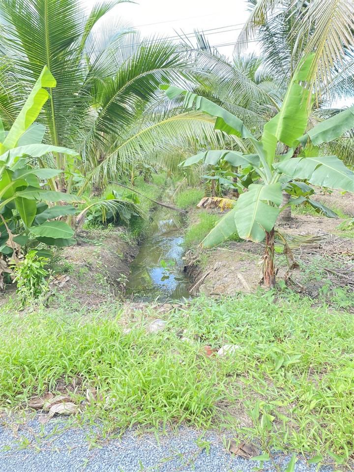 Bán đất vườn diện tích 2.635m2