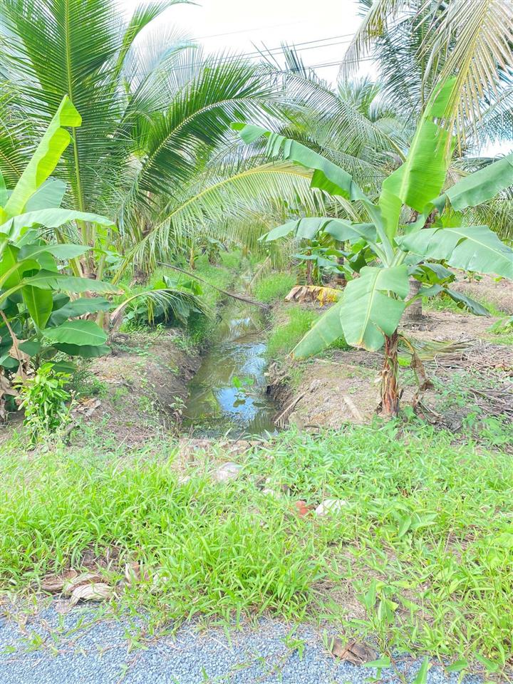 Bán đất vườn diện tích 2.635m2