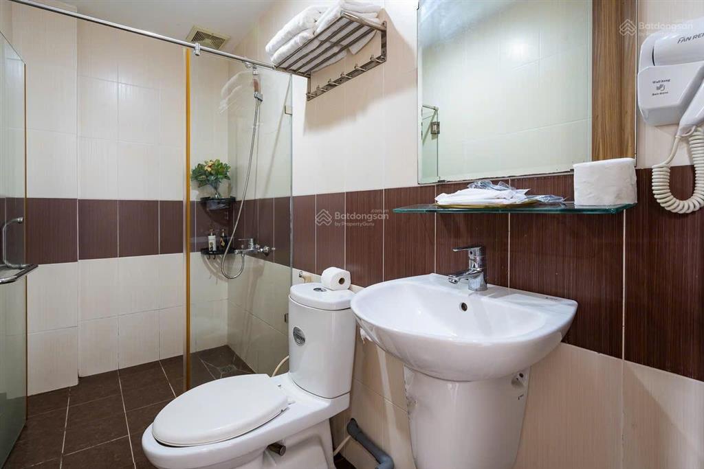 Cho thuê căn hộ mini 1pn tại tân phong, q7, tp.hcm