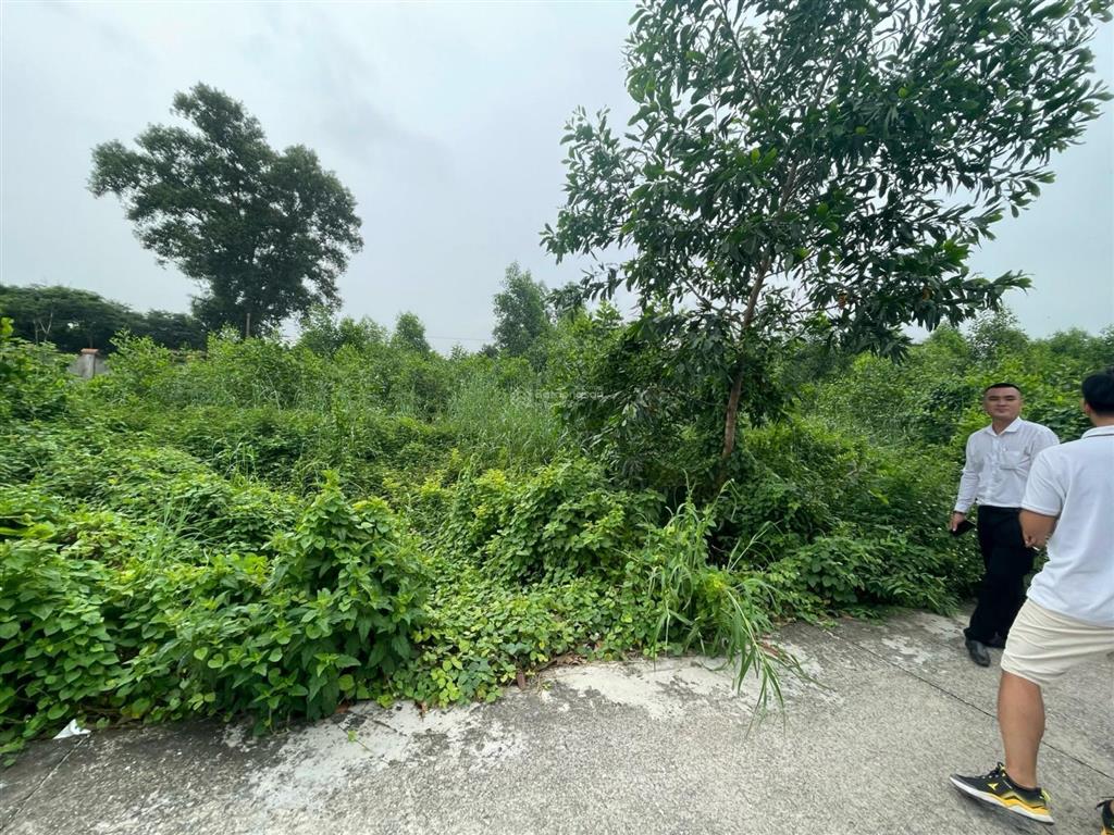 Bán đất tại đường số 33, châu pha, 1,4 tỷ, 142m2, chính chủ, hot