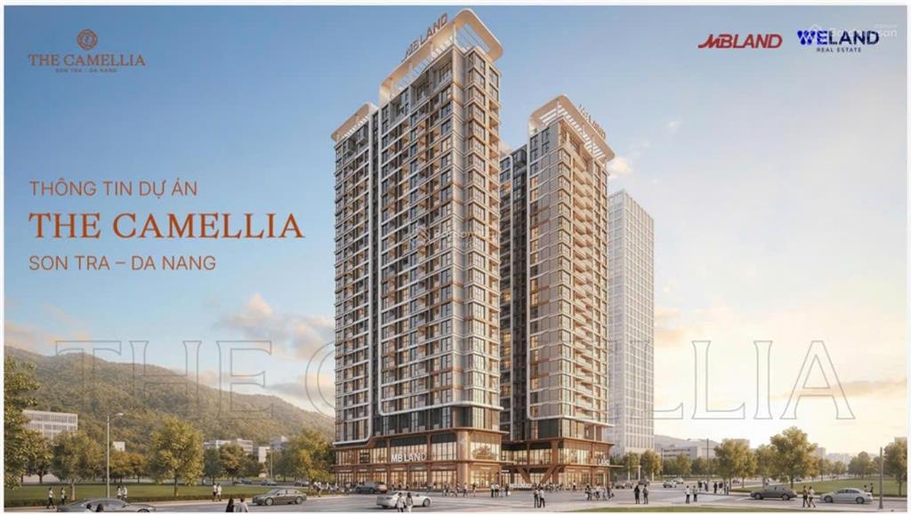 Booking 50tr có hoàn lại the camellia sơn trà căn hộ gần biển, kề núi sơn trà giá chỉ từ 1,98 tỷ