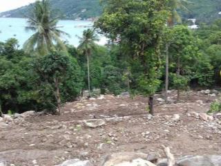 Đất mặt tiền đường lên đỉnh ma thiên lãnh (hòn sơn)