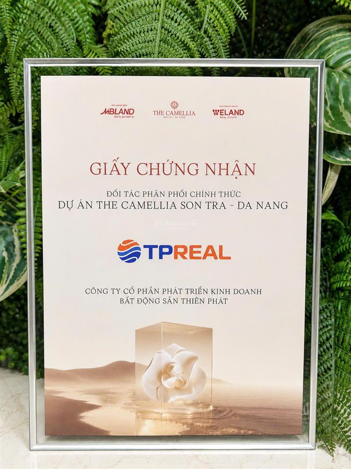 3,1 tỷ sở hữu lâu dài căn 3pn view biển, hướng đông nam, thanh toán 50% nhận nhà vào ở, cho thuê