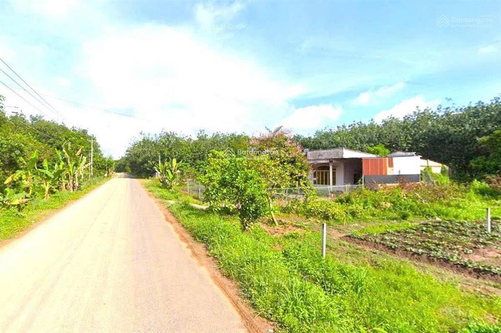 Bán sào đất tại chợ minh lập, chơn thành ngay dt756 (18x60m = 1001m2 shr) trung tâm tiện ích, 250tr