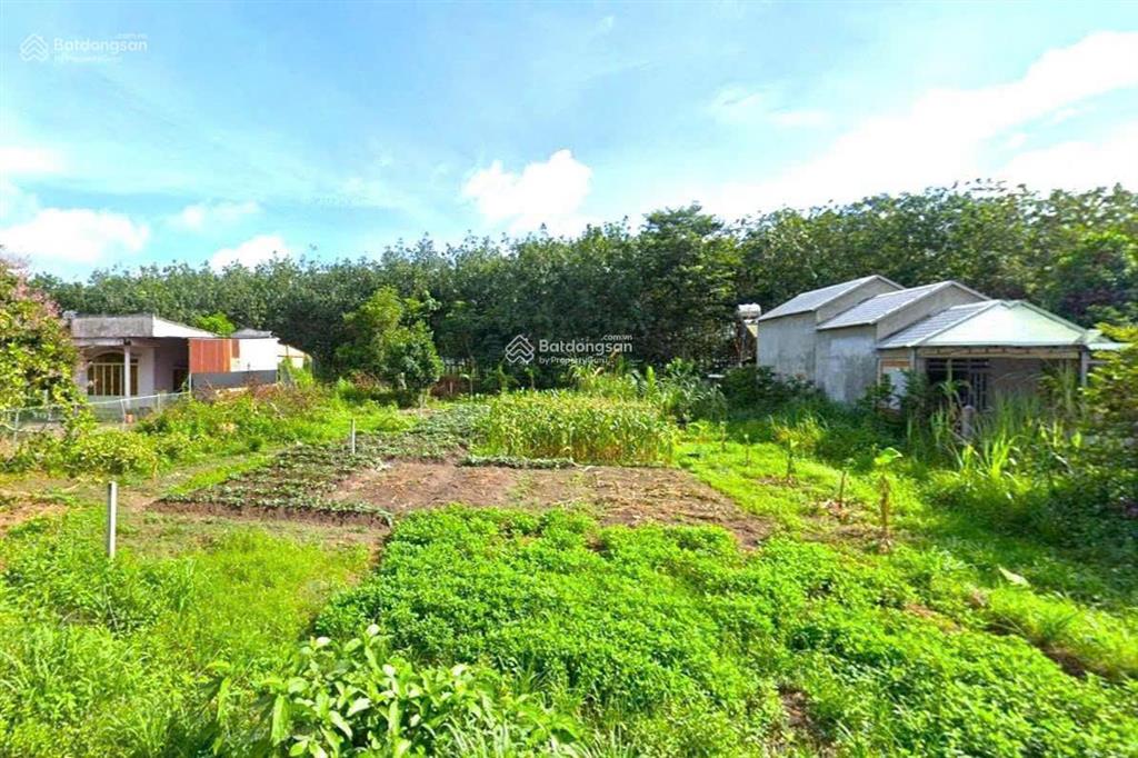 Bán sào đất tại chợ minh lập, chơn thành ngay dt756 (18x60m = 1001m2 shr) trung tâm tiện ích, 250tr