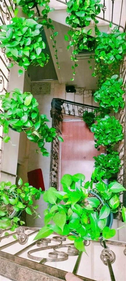 Mặt tiền trần thị nghỉ, khu cityland, 5x20, 5 tầng thang máy, 27 tỷ