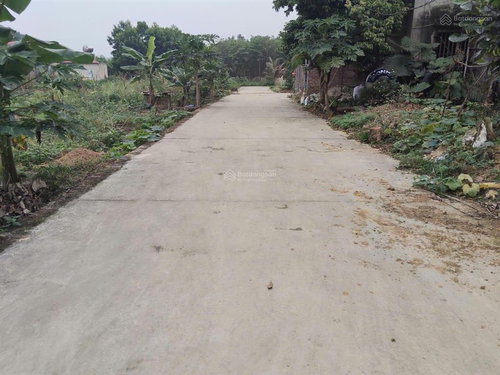 Chính chủ cần tiền bán mảnh đất 10m2 tại sóc sơn, hà nội (ko qua trung gian)