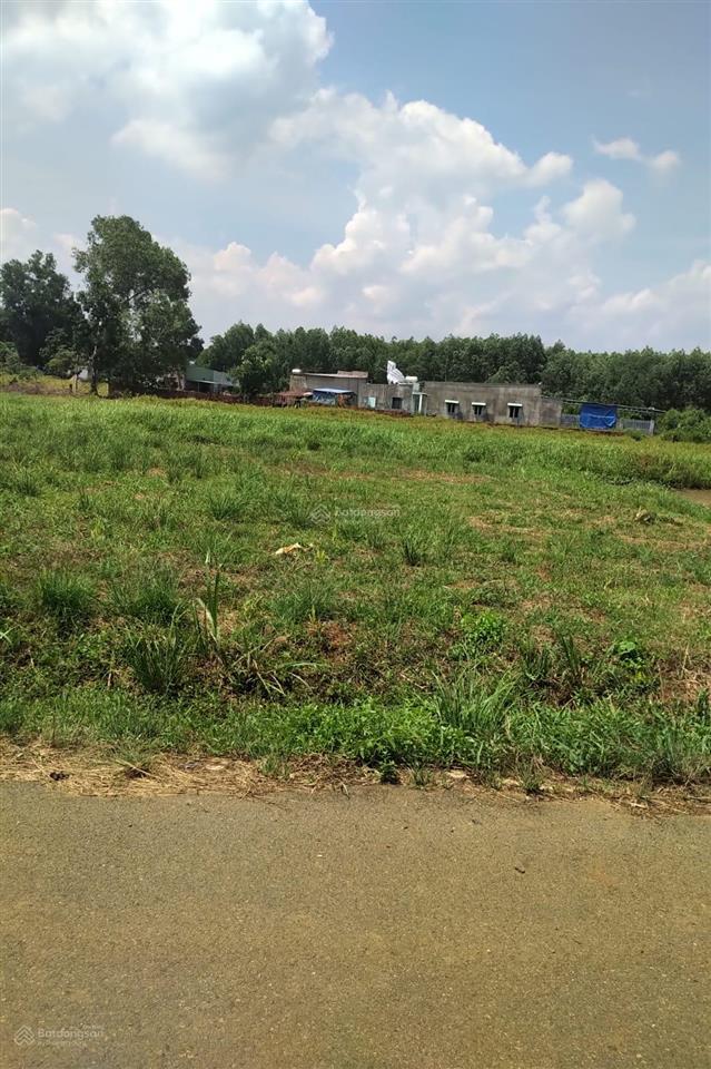 Bán gấp lô đất 666m2 (60m2 thổ cư  606m2 nông nghiệp) chính chủ tại bà rịa  vũng tàu