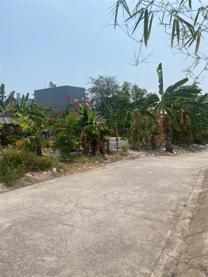 HÀNG NGỘP GIÁ TỐT HẺM XE HƠI, Gần 1900m2 đất duong Đặng văn bi ,  P.bình thọ thủ đức