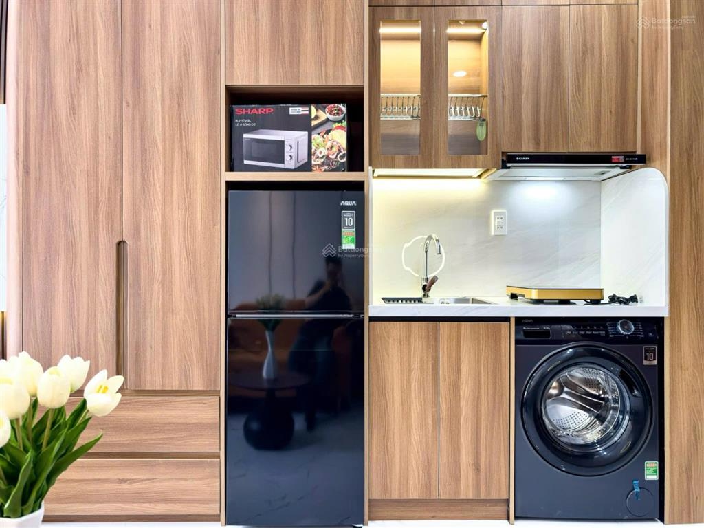 Cho thuê căn hộ mini đầy đủ nội thất, 1pn, 45m2 ở cao triều phát, q7