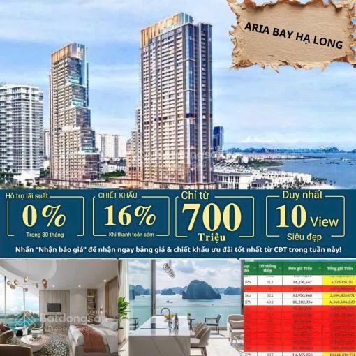 Hàng hiếm tại aria bay, studio view biển. chỉ với giá 2 tỷ  ngay để nhận tt chi tiết ạ