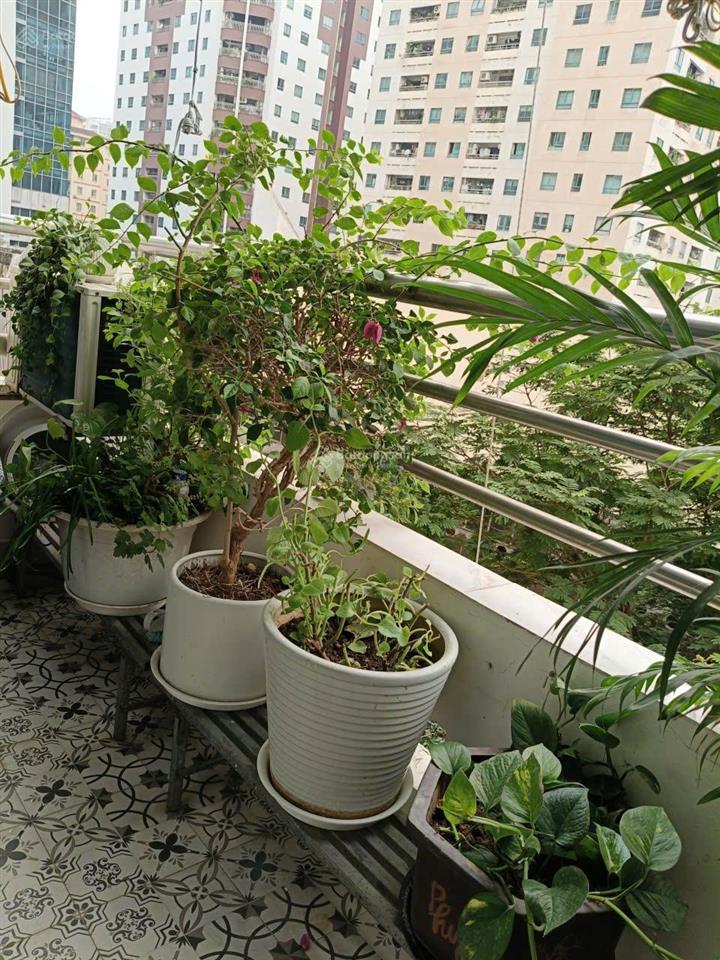 Bán căn hộ cao cấp  diện tích lớn 116m²  3pn  giá tốt