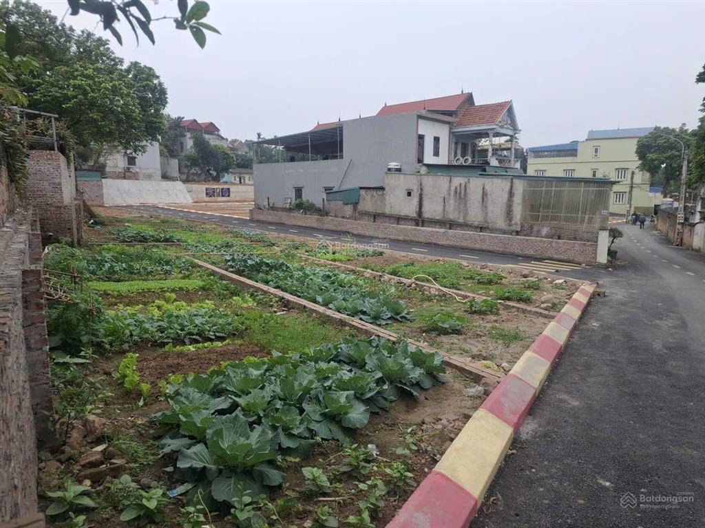 [chính chủ bán trực tiếp] lô đất 61.2m2 full thổ cư phố hữu nghị