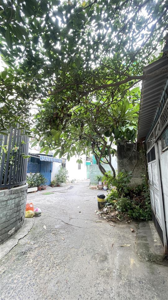 Bán nhà 3 tầng sân thượng dương quảng hàm p5 gò vấp, 41m2, ngang 6.8m hiếm, giá 5.59 tỷ .