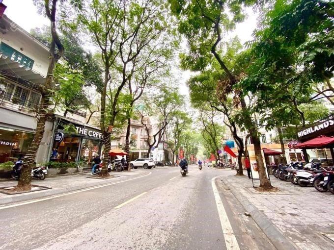 Chính chủ cần bán lô đất tại trần thái tông cầu giấy 81m 17 tỷ pháp lý chuẩn