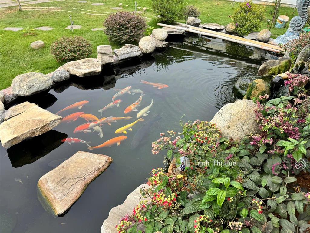 Bán biệt thự sân vườn view sông gần 1000m2 kdc tuổi trẻ  kdc thạnh mỹ lợi dt 24.5x39 1 trệt 1 lầu