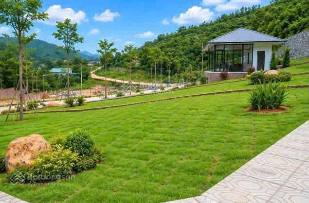 Chỉ 3 tỷ đồng vỡ hòa lạc tâm điểm nghỉ dưỡng xanh | gần villa & hồ sinh thái