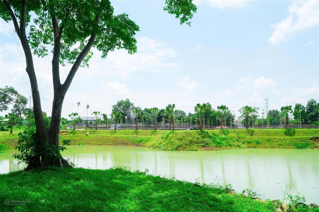 Bán gấp đất 950tr/lô sát trung tâm thị trấn xuân mai dòng tiền cho thuê hơn 500 triệu/năm