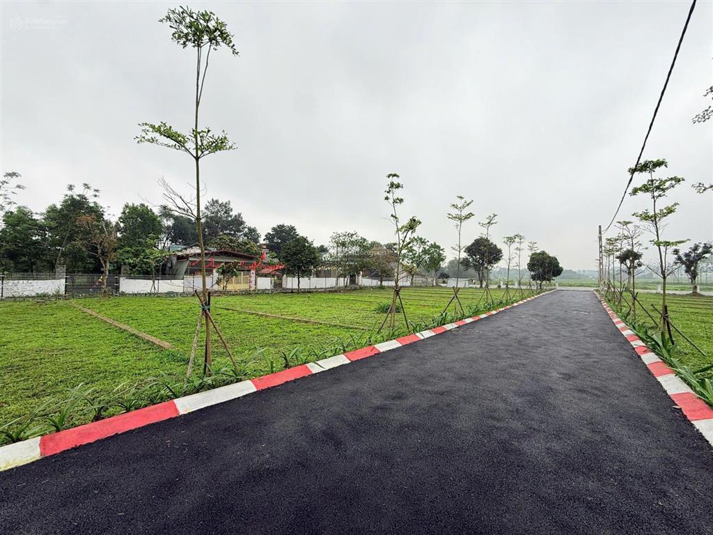 Siêu hot đất nền lõi kcn & nghỉ dưỡng, giá chỉ 299 triệu lô góc hai mặt đường đường alphan