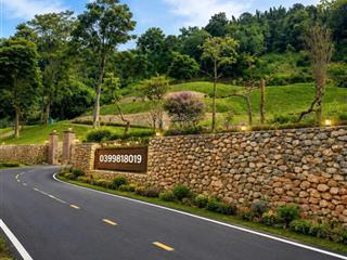 3310m² thổ cư tại xã mường động, huyện kim bôi, rất phù hợp nghỉ dưỡng