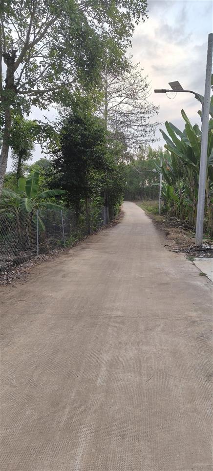 Bán đất 1000m2, giá 1,4 tỷ chợ vĩnh tân cũ, đường 767, tân an, vĩnh cửu