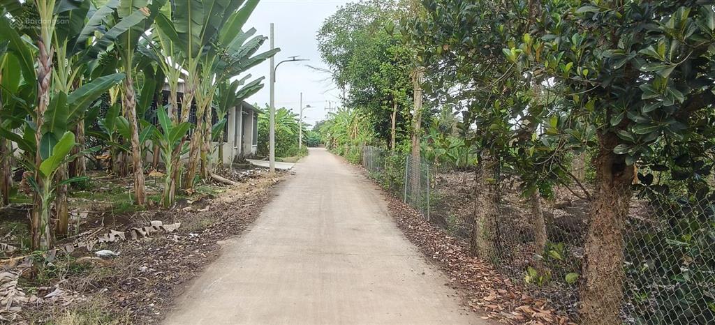 Bán đất 1000m2, giá 1,4 tỷ chợ vĩnh tân cũ, đường 767, tân an, vĩnh cửu