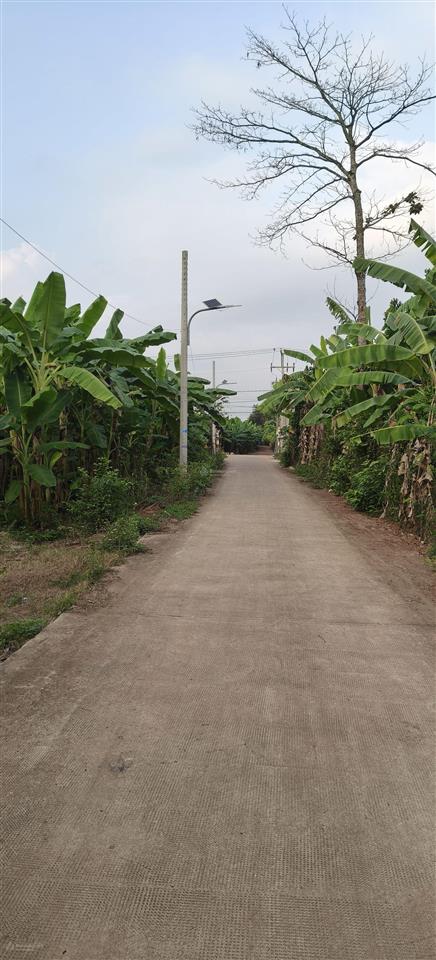 Bán đất 1000m2, giá 1,4 tỷ chợ vĩnh tân cũ, đường 767, tân an, vĩnh cửu