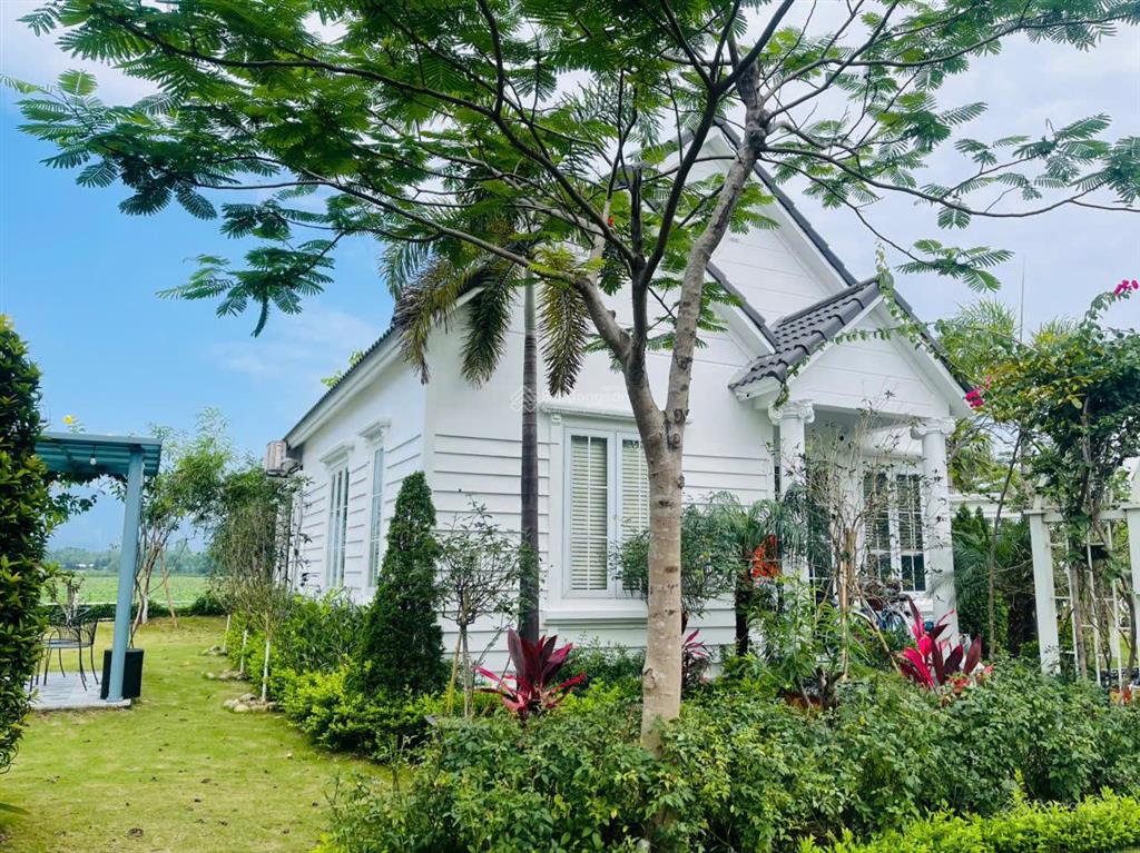 Biệt thự vườn vua 280m² full nội thất, view hồ sen, bể bơi riêng, 2pn, giá hơn 4 tỷ, đầu tư tốt