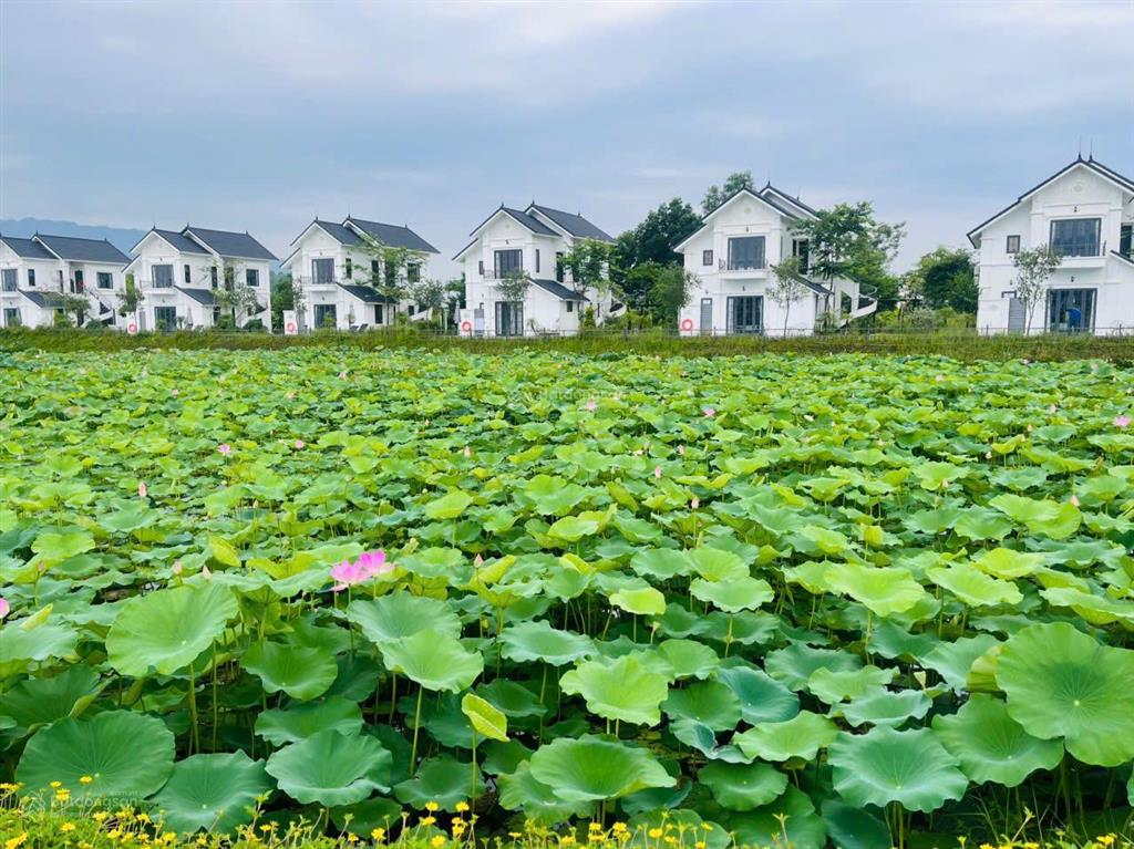 Đẳng cấp nghỉ dưỡng! biệt thự vườn vua view triệu đô giá chỉ hơn 5 tỷ