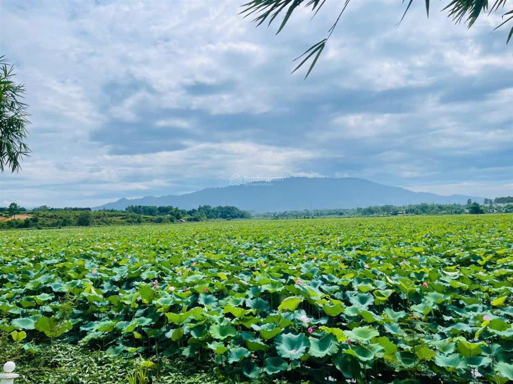 Đẳng cấp nghỉ dưỡng! biệt thự vườn vua view triệu đô giá chỉ hơn 5 tỷ
