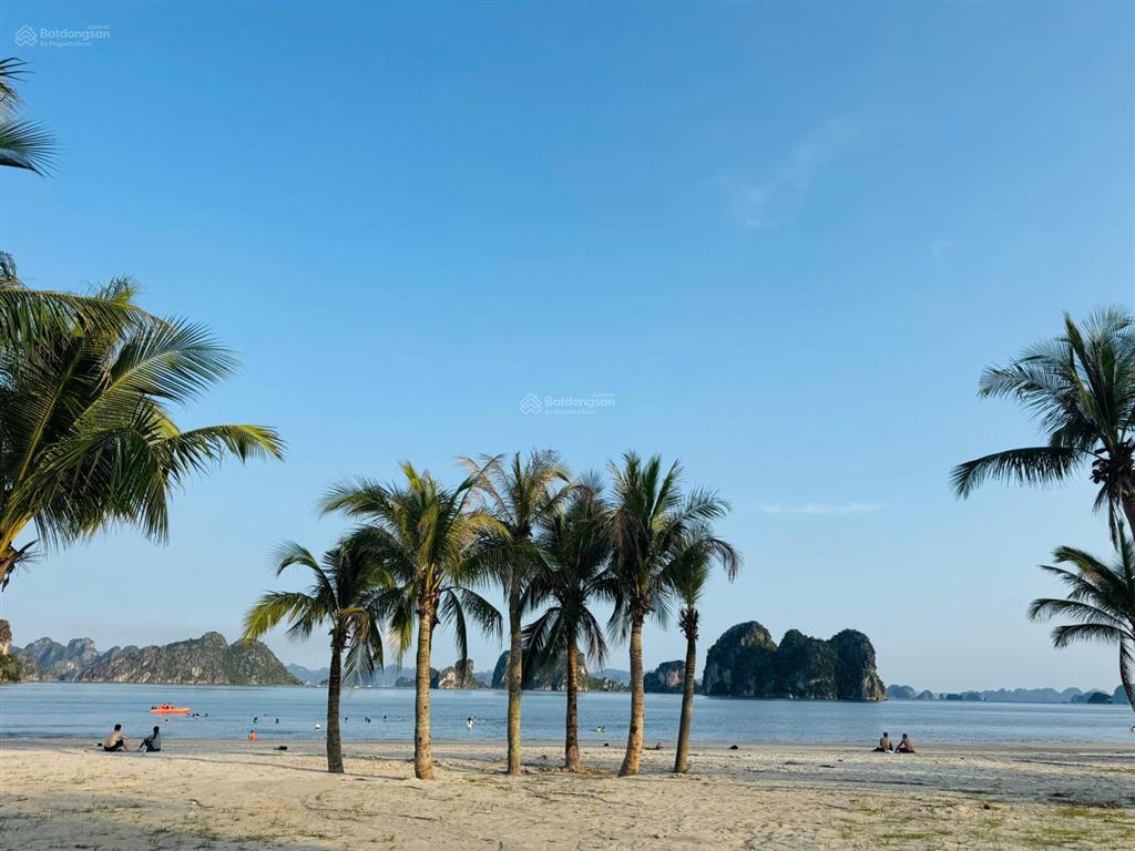 Mở bán căn hoa hậu, tầng trung, view đẹp ôm trọn vịnh bái tử long, giá chỉ 1,7 tỷ, sổ đỏ lâu dài