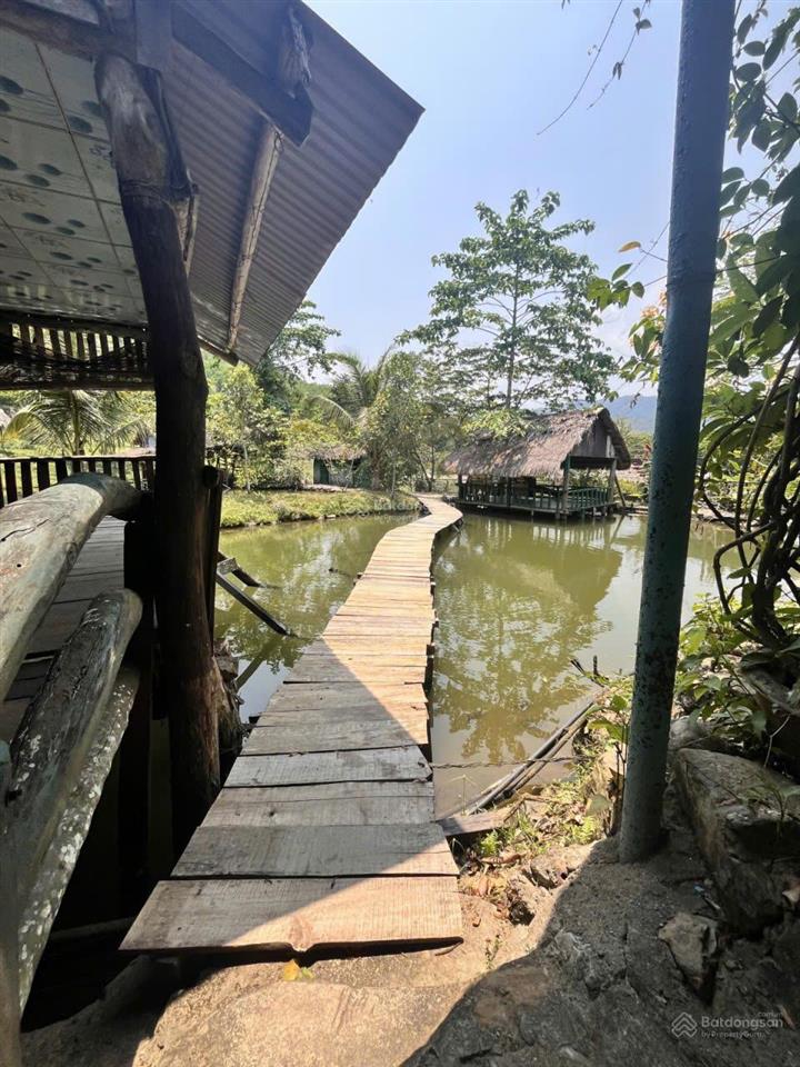 Chính chủ bán farm thôn nam mỹ, hòa bắc, hòa vang