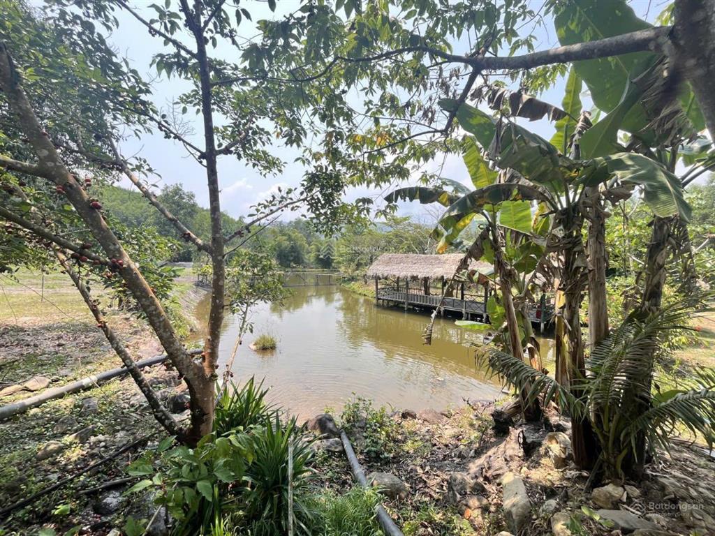 Chính chủ bán farm thôn nam mỹ, hòa bắc, hòa vang