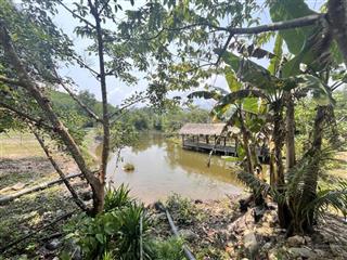 Chính chủ bán farm thôn nam mỹ, hòa bắc, hòa vang
