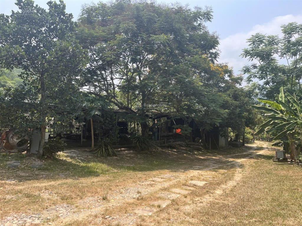Chính chủ bán farm thôn nam mỹ, hòa bắc, hòa vang