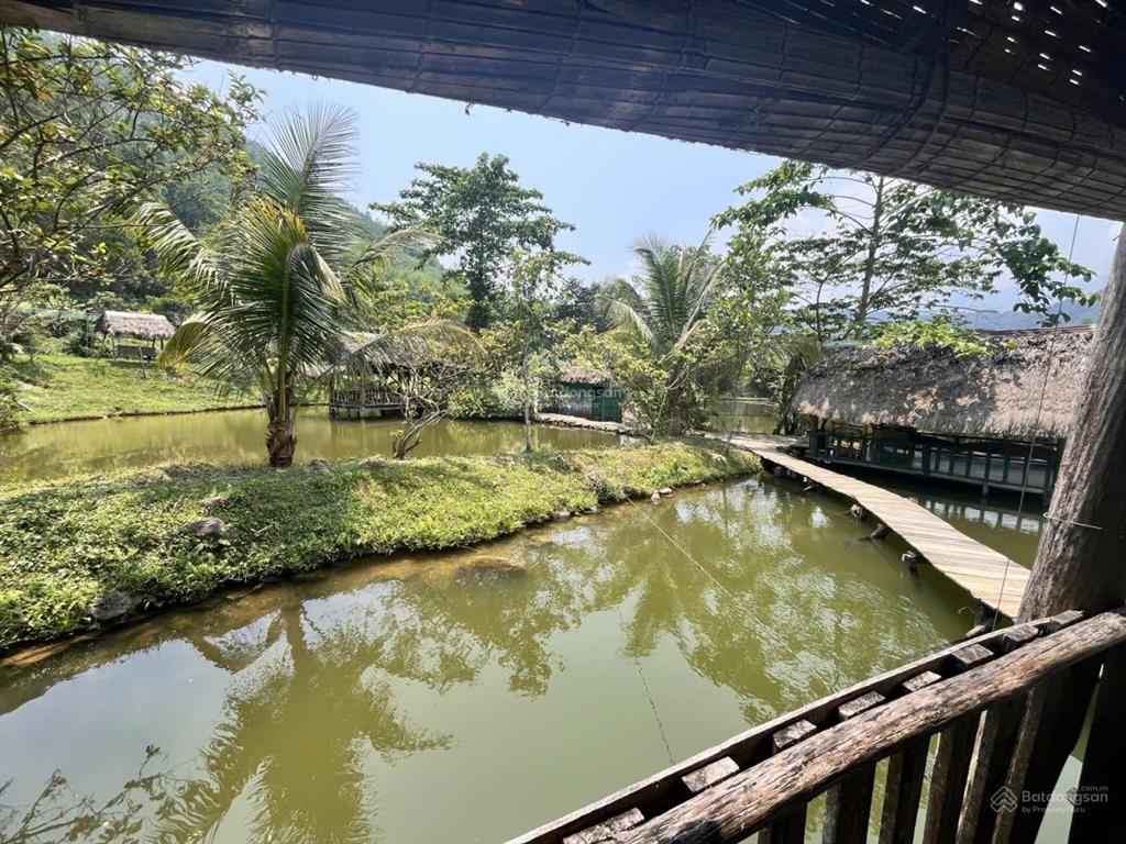 Chính chủ bán farm thôn nam mỹ, hòa bắc, hòa vang