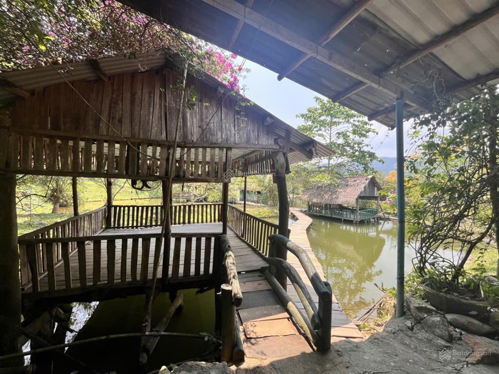 Chính chủ bán farm thôn nam mỹ, hòa bắc, hòa vang
