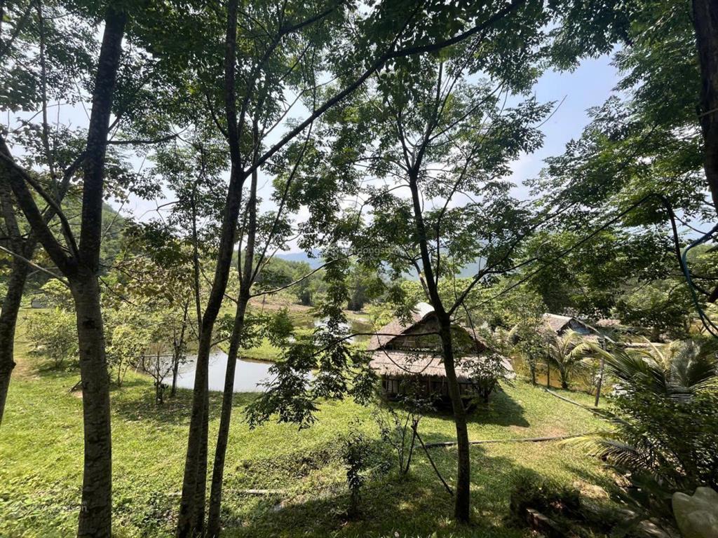 Chính chủ bán farm thôn nam mỹ, hòa bắc, hòa vang