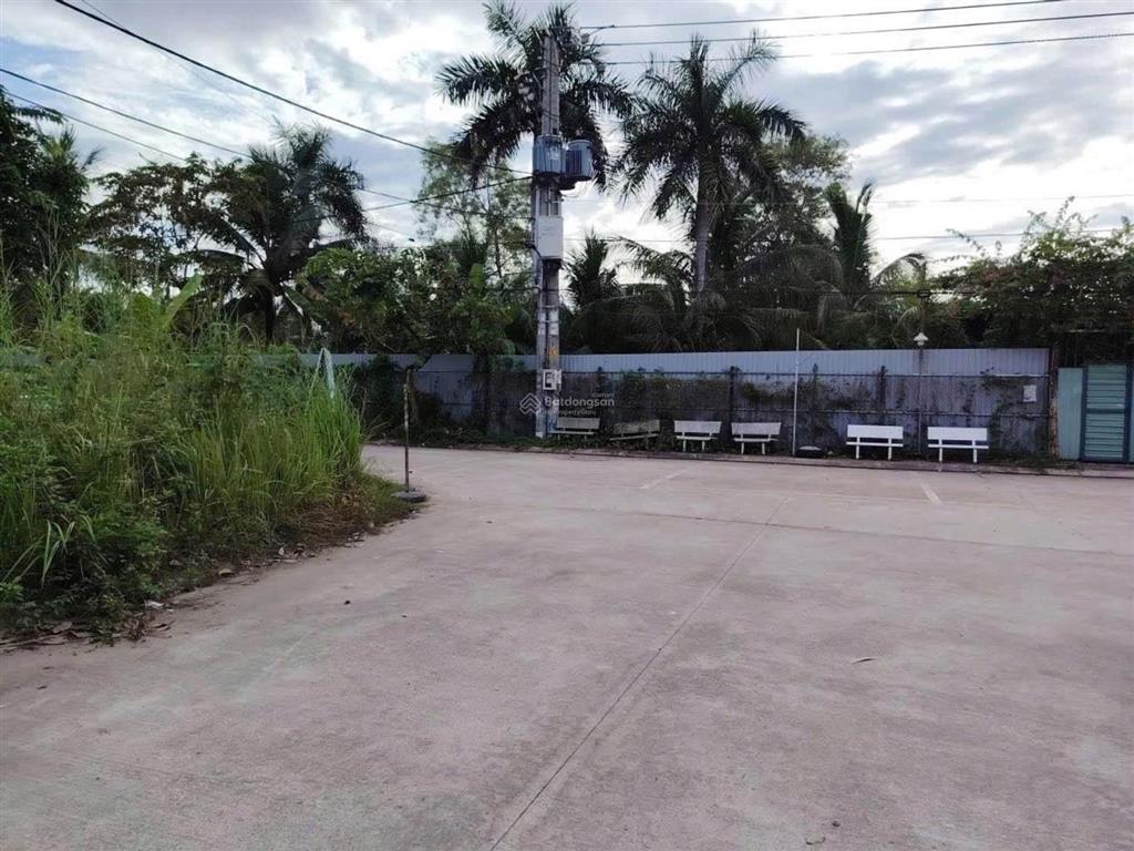 Lô góc hiếm kế đông tăng long giá giảm mạnh