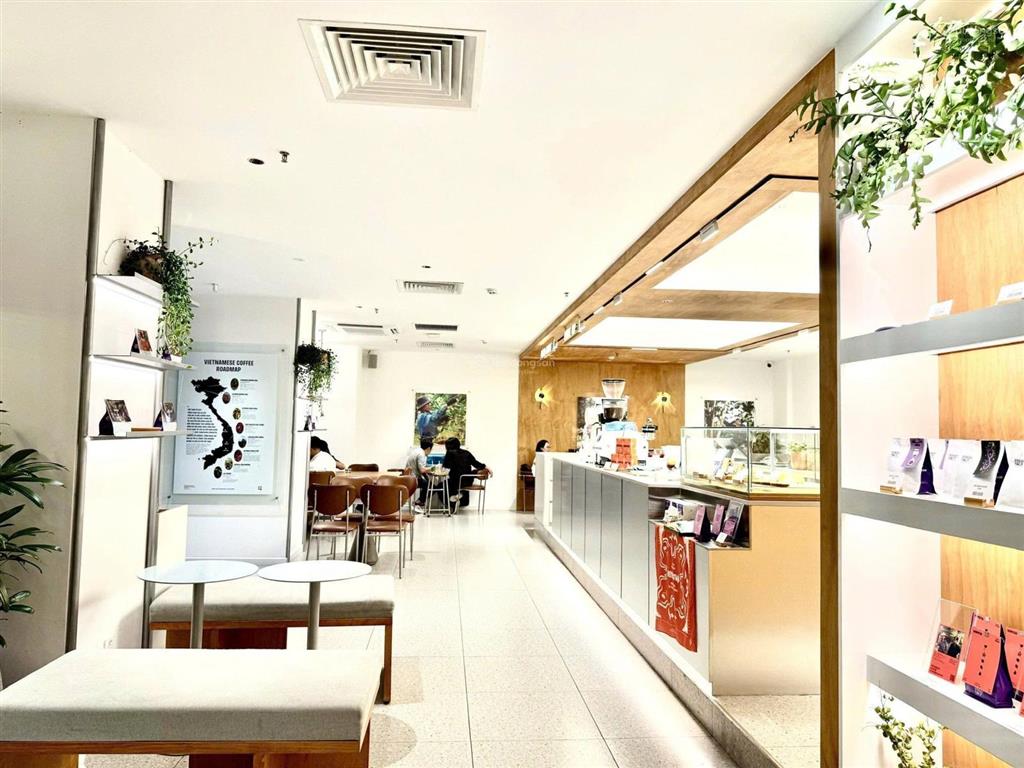 Siêu rẻ giá hời! toà nhà nguyễn trãi, nguyễn cư trinh q1 dt 10x20m 1h 7t cho thuê 280tr giá 58 tỷ
