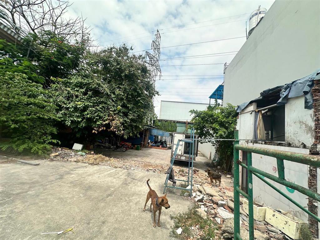 Bán đất đẹp tại khu vực bình tân  đất đẹp cần bán gấp