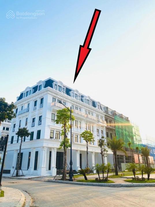Biệt thự louis hoàng mai dt 266.8m2 hướng đông 4 tầng 1 hầm. thiết kế tân cổ điển hiếm có khu vực