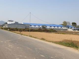 Cần bán đất ql 217 r10m d 28m, vị trí kinh doanh đặc địa, gần trường, chợ, ngân hàng, giao thông ok