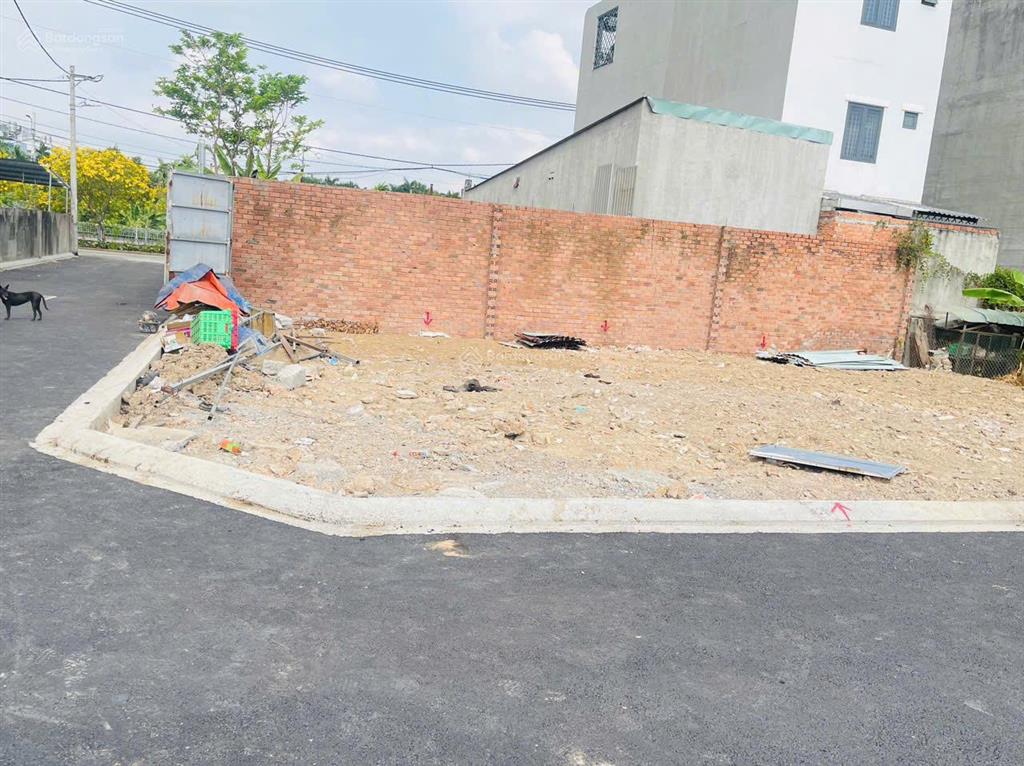 Ở thạnh lộc mà tưởng đâu ở đà lạt, đường hoa chỉ có tại thạnh lộc 37, an phú đông, q12